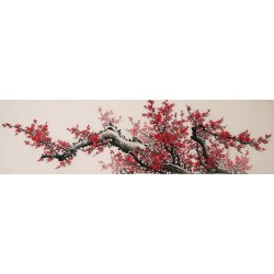 Plum - CNAG004032