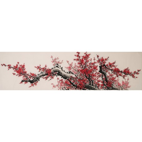 Plum - CNAG004032