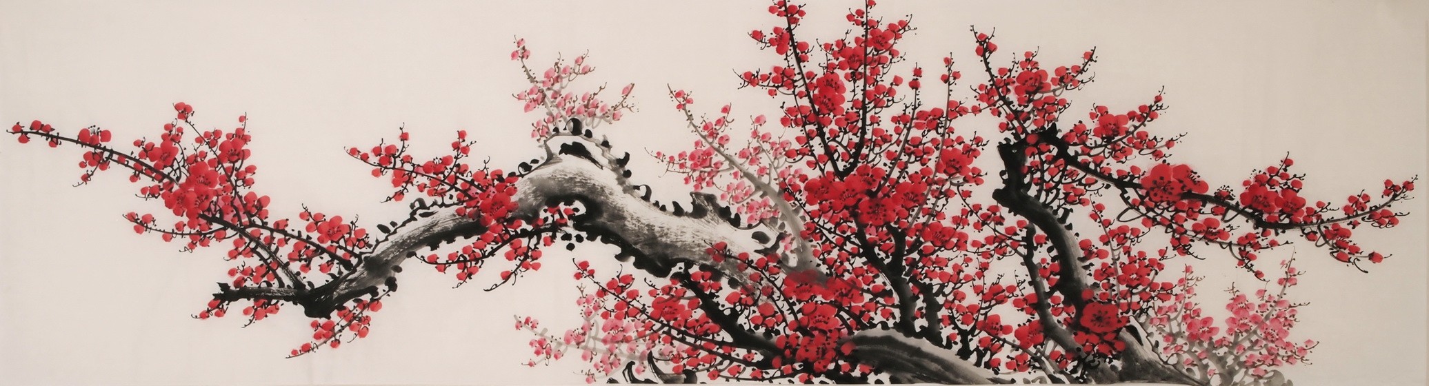 Plum - CNAG004032