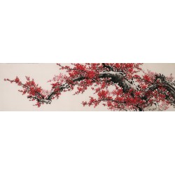 Plum - CNAG004033