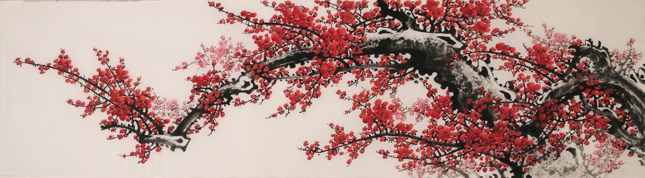Plum - CNAG004033