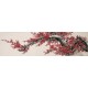 Plum - CNAG004034