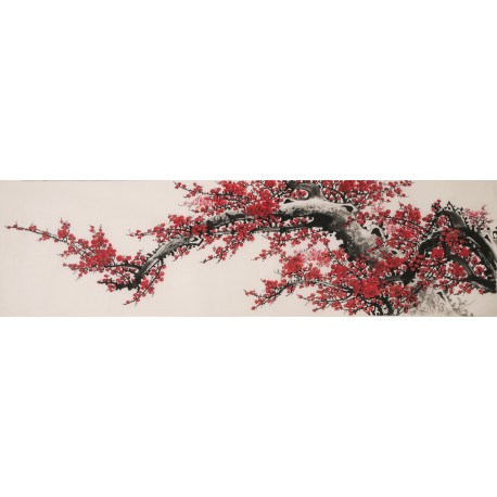 Plum - CNAG004034