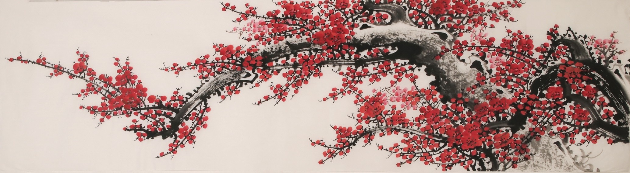 Plum - CNAG004034