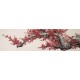 Plum - CNAG004035