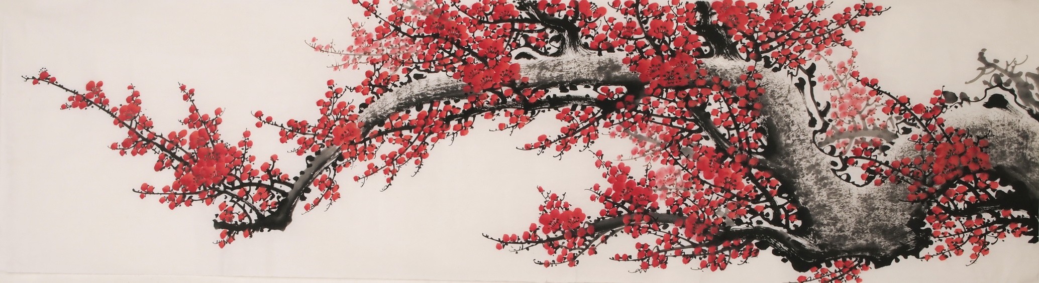 Plum - CNAG004035