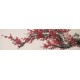 Plum - CNAG004036