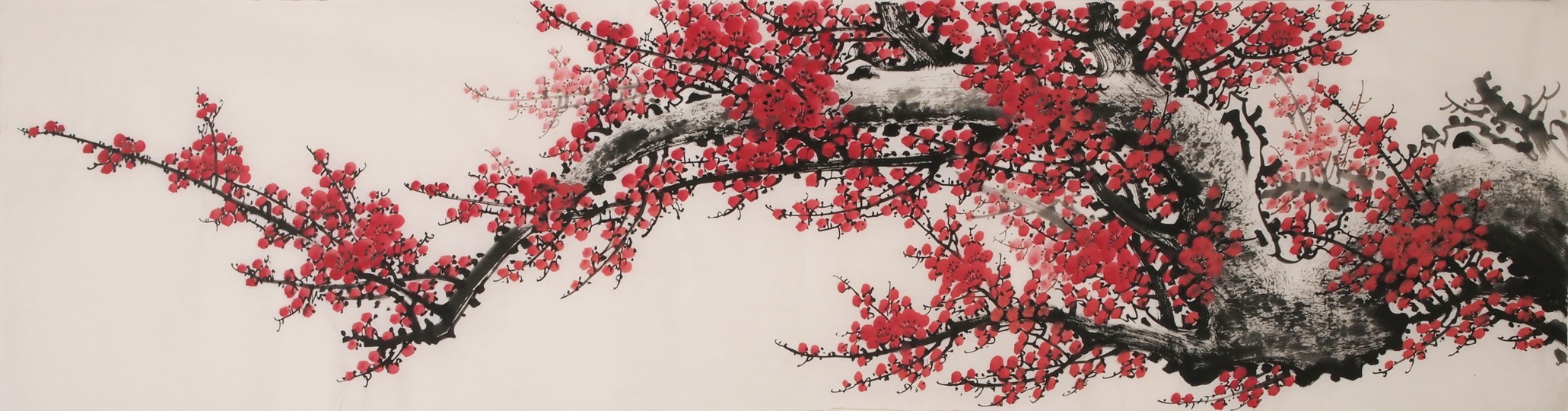 Plum - CNAG004036