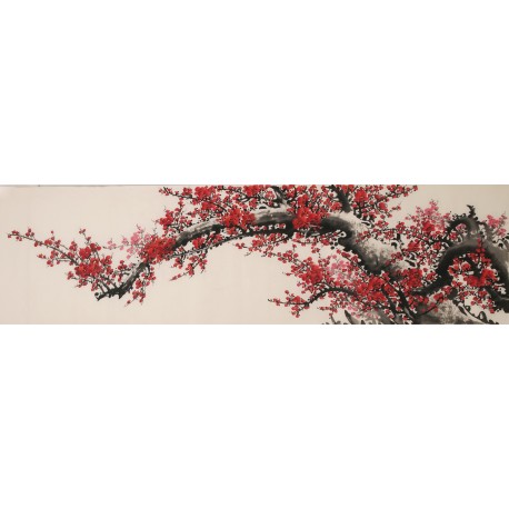 Plum - CNAG004037