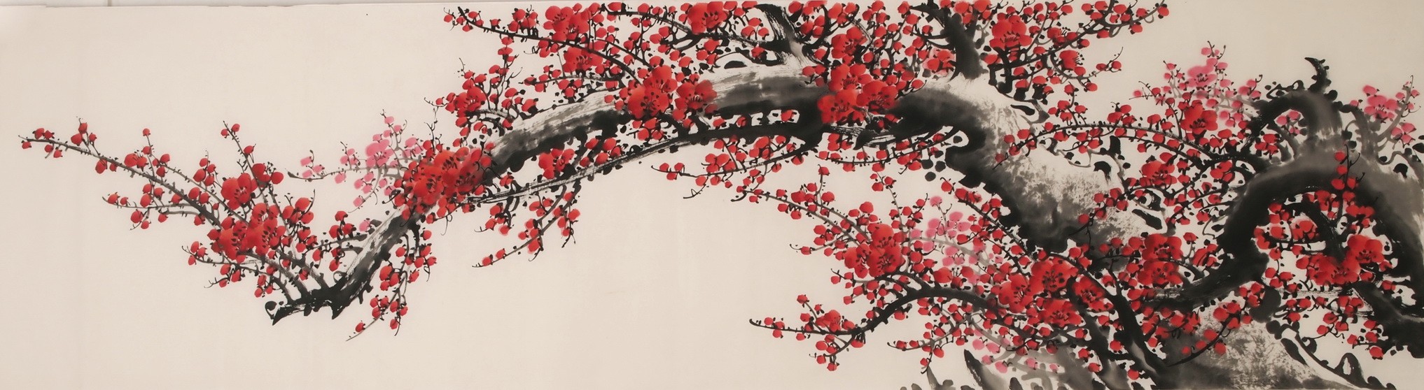 Plum - CNAG004037