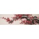 Plum - CNAG004038