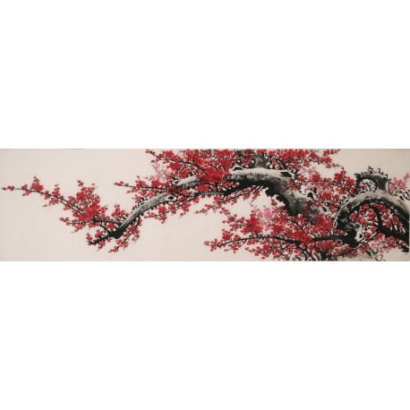 Plum - CNAG004038