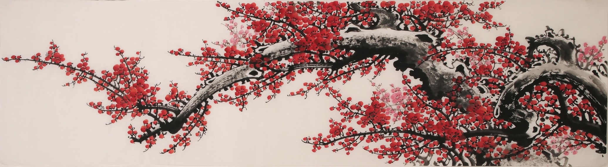 Plum - CNAG004038