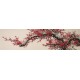 Plum - CNAG004039
