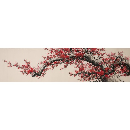 Plum - CNAG004039