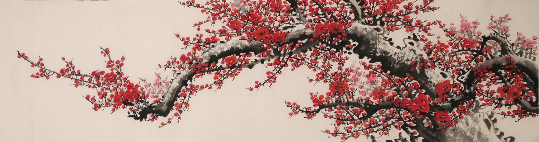Plum - CNAG004039