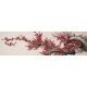 Plum - CNAG004040