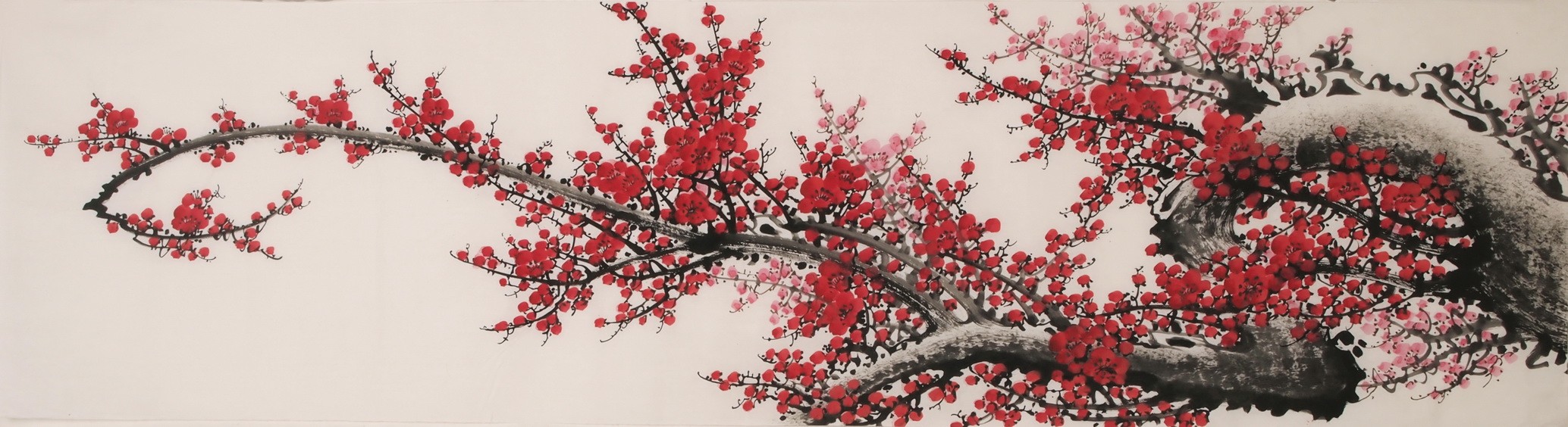 Plum - CNAG004040