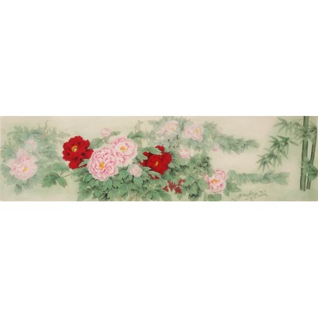 Peony - CNAG004042