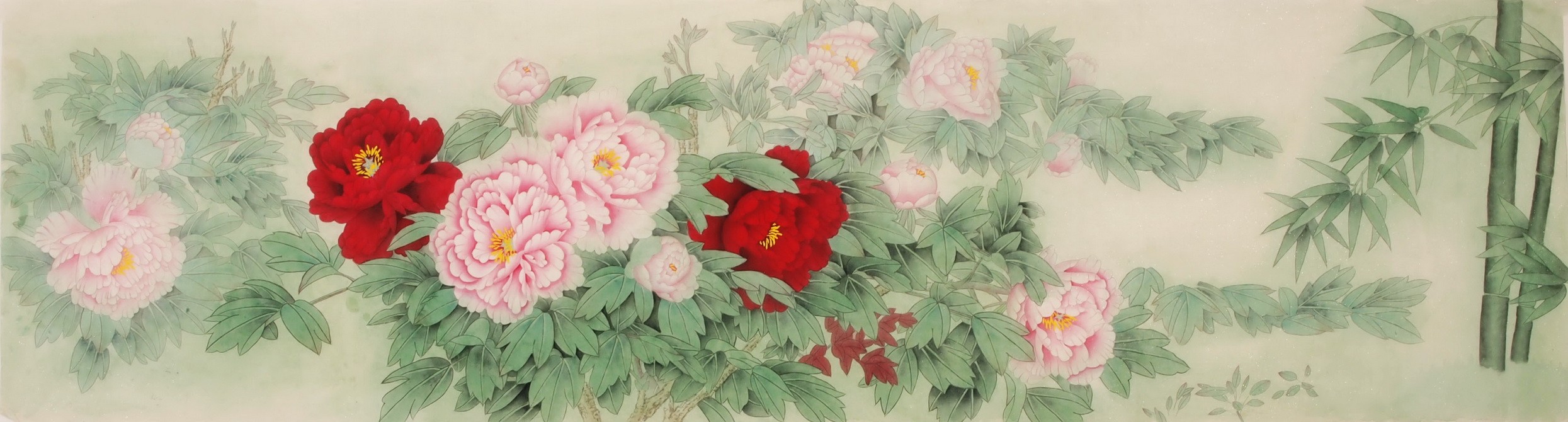 Peony - CNAG004042