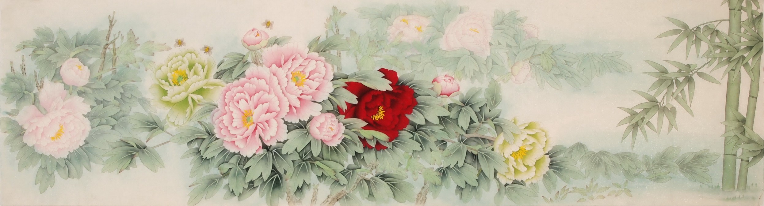 Peony - CNAG004043