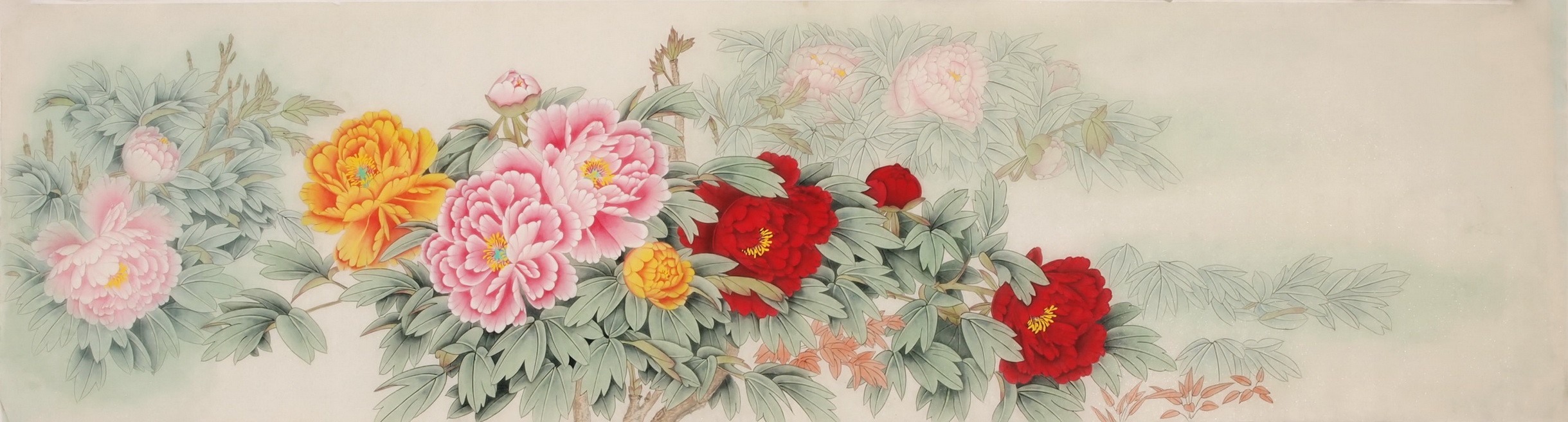 Peony - CNAG004044