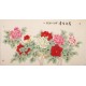 Peony - CNAG004045
