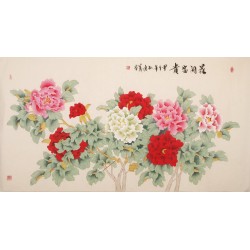 Peony - CNAG004045