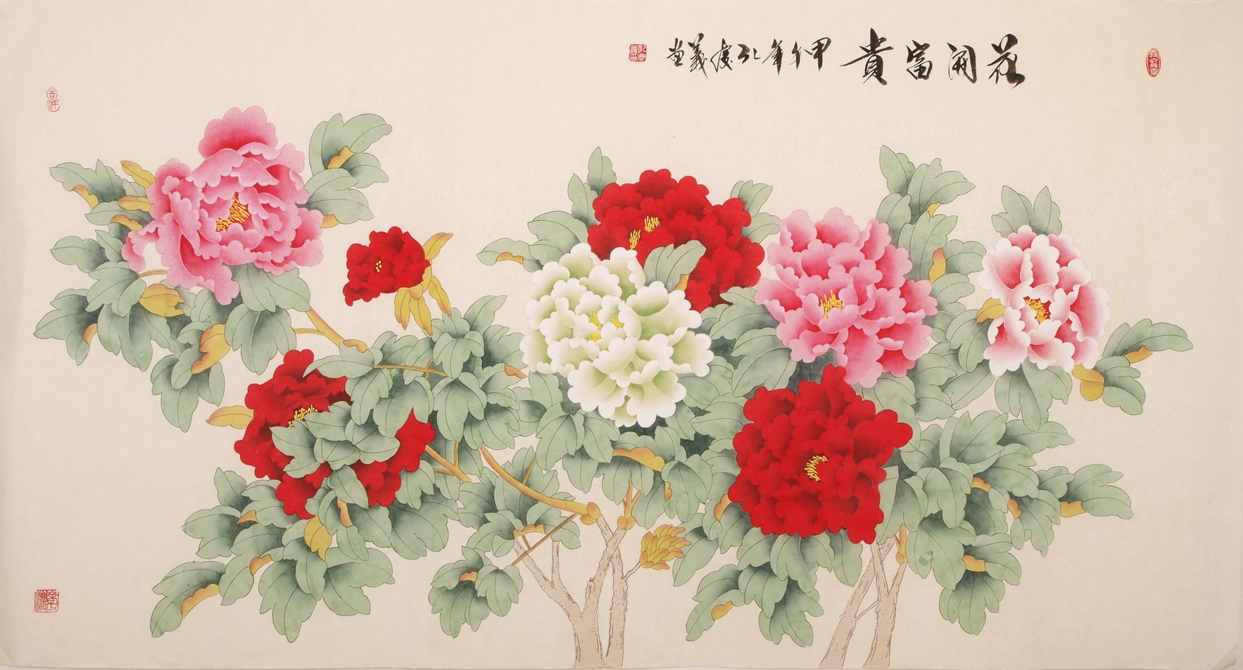 Peony - CNAG004045