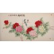 Peony - CNAG004046
