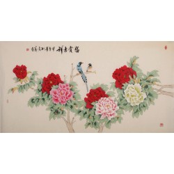 Peony - CNAG004046