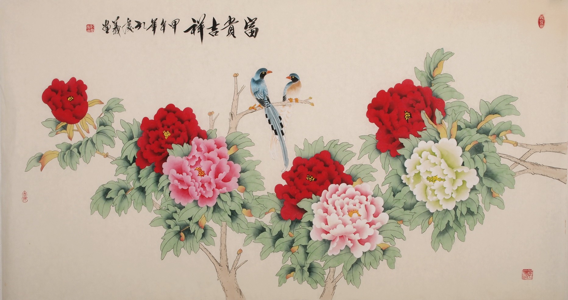 Peony - CNAG004046