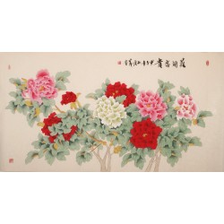 Peony - CNAG004048