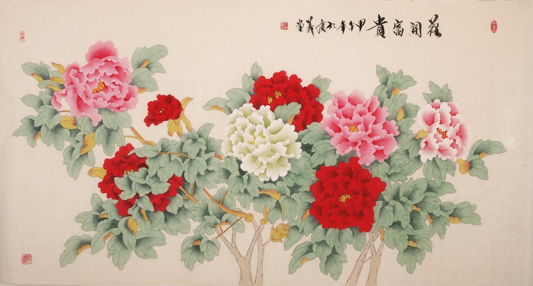 Peony - CNAG004048