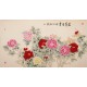 Peony - CNAG004049