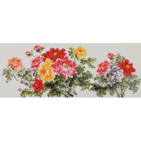 Peony - CNAG004051