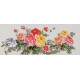 Peony - CNAG004053