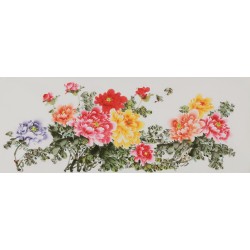 Peony - CNAG004053
