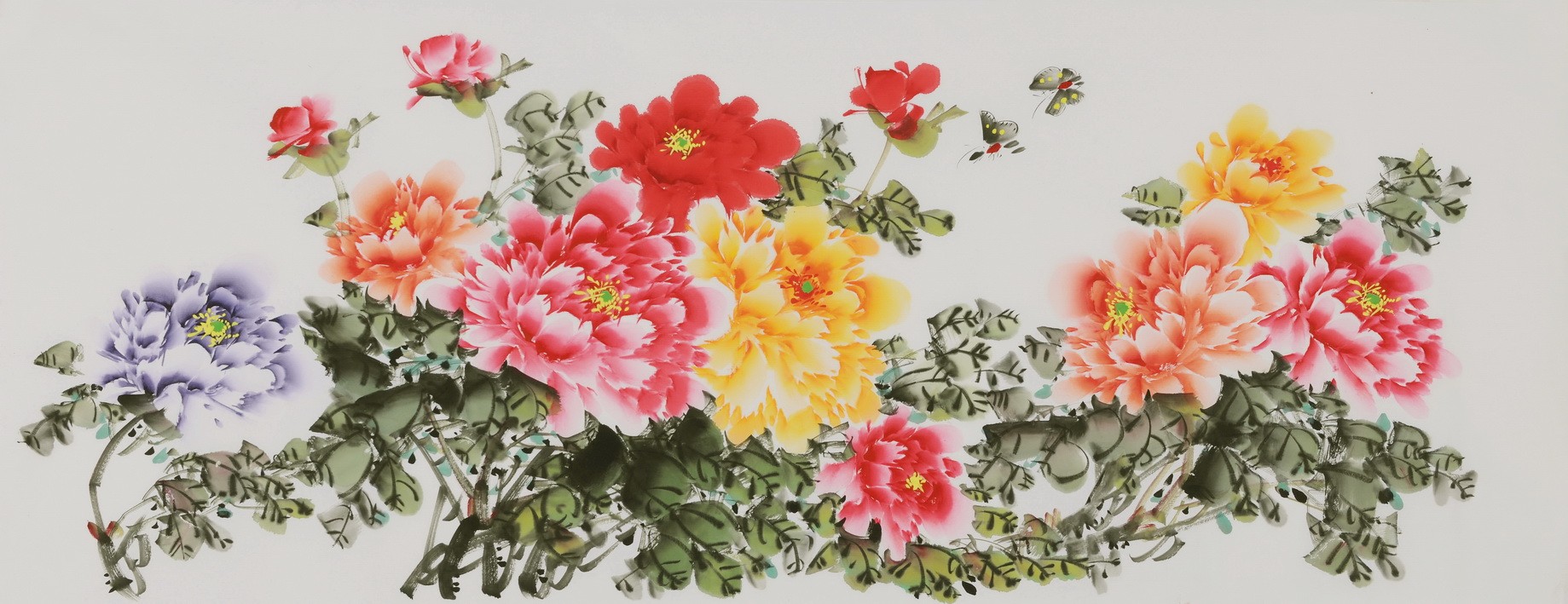 Peony - CNAG004053