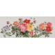 Peony - CNAG004054