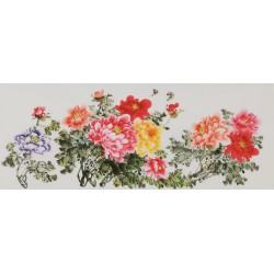 Peony - CNAG004054