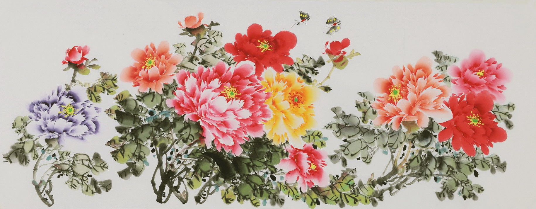 Peony - CNAG004054