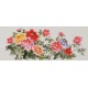 Peony - CNAG004055