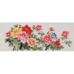 Peony - CNAG004055