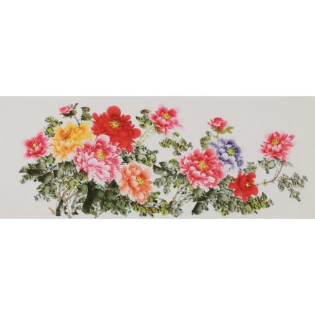 Peony - CNAG004055