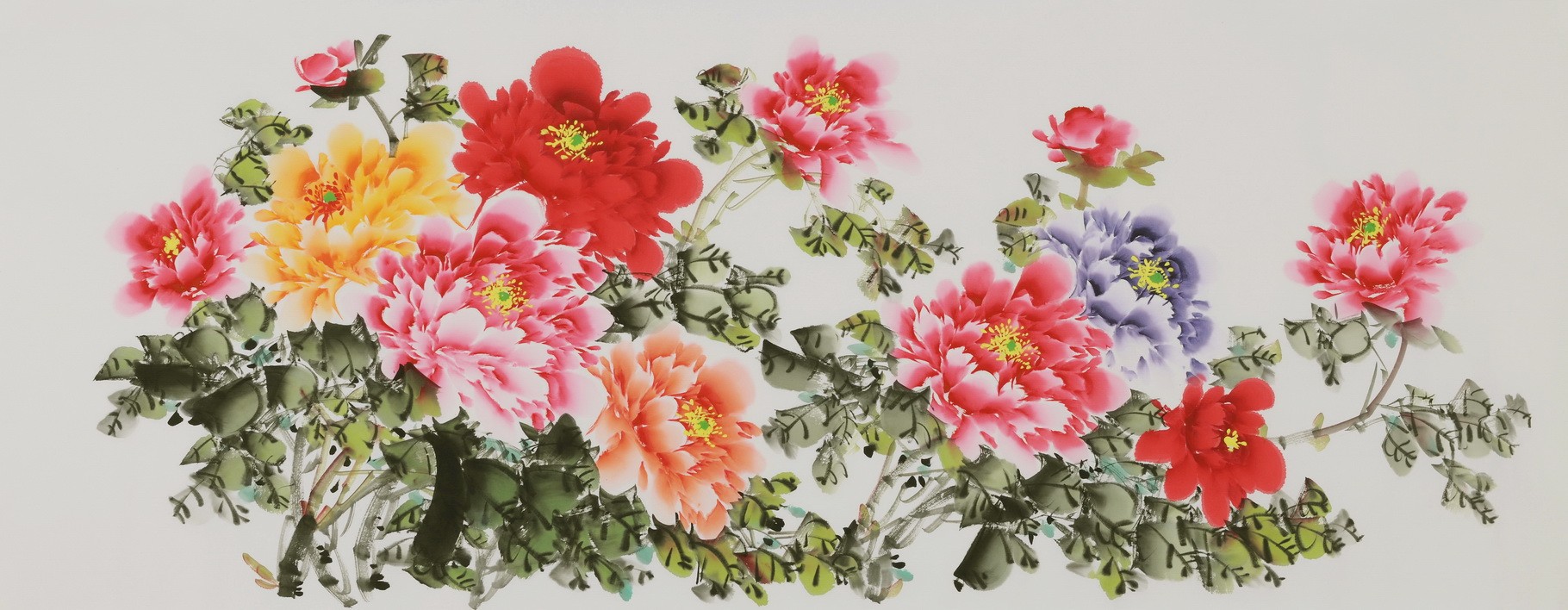 Peony - CNAG004055