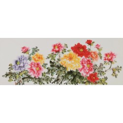 Peony - CNAG004057