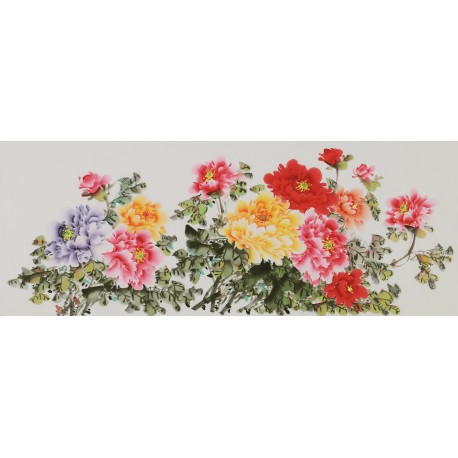 Peony - CNAG004057