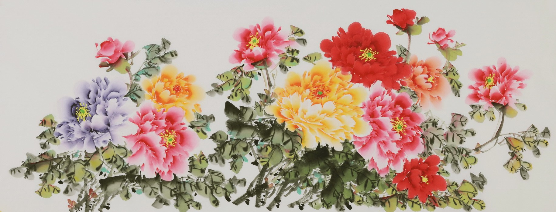 Peony - CNAG004057