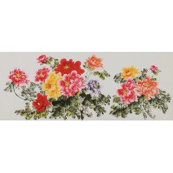 Peony - CNAG004060